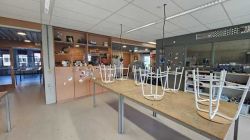 olanda-martie-26-7